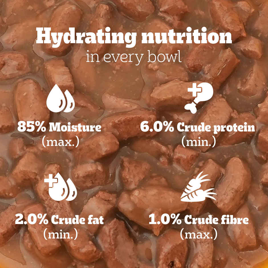 Pedigree Adult Chicken & Liver Chunks In Gravy Wet Dog Food Combo