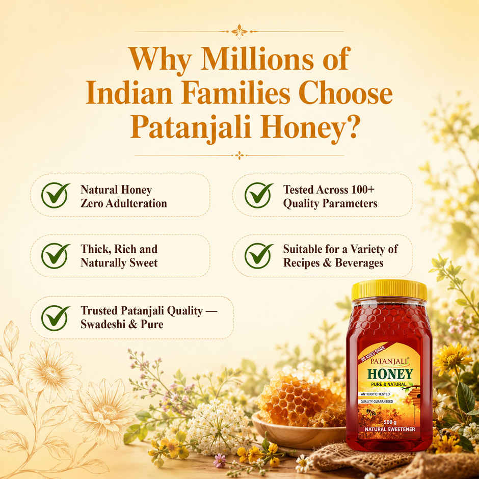 Patanjali Pure Natural Honey - No Added Sugar