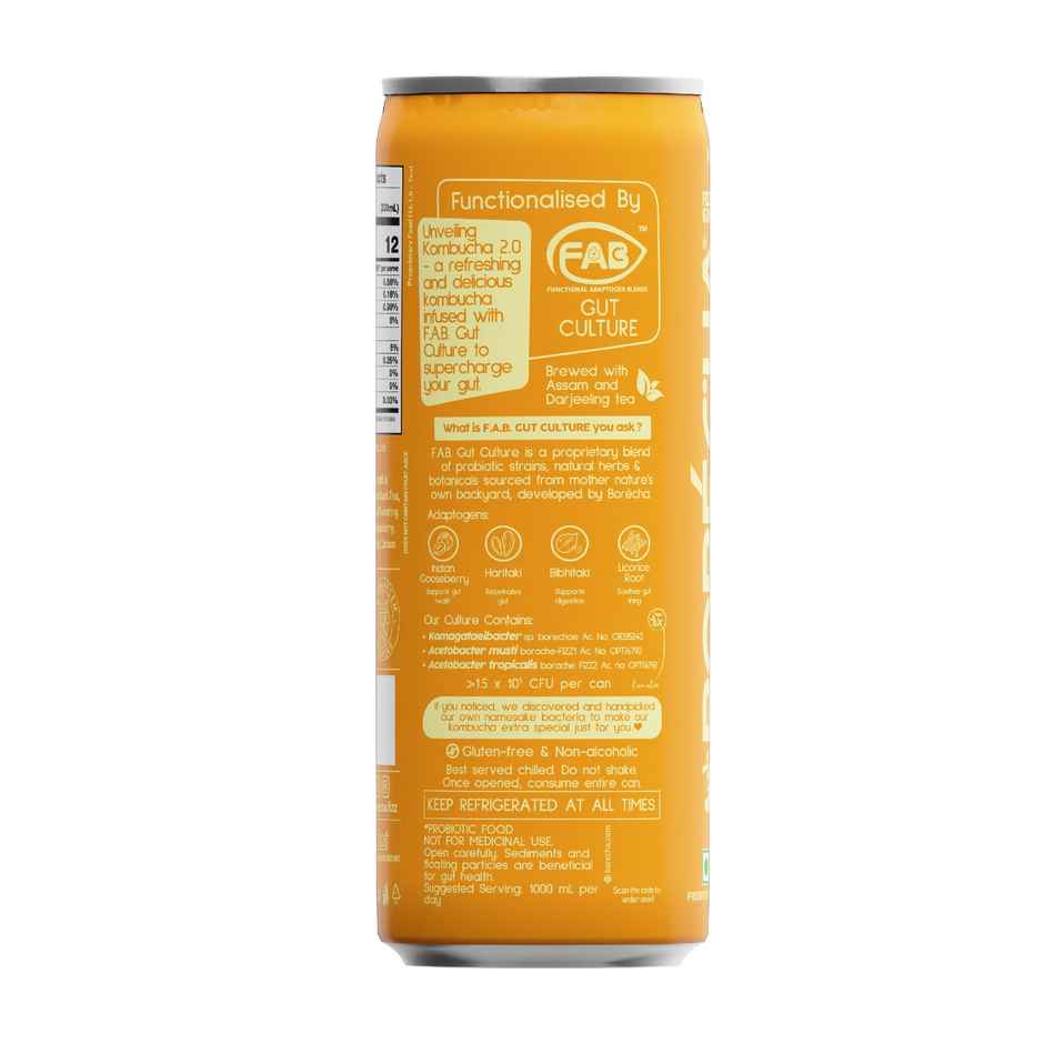 Borecha Orange Probiotic Kombucha