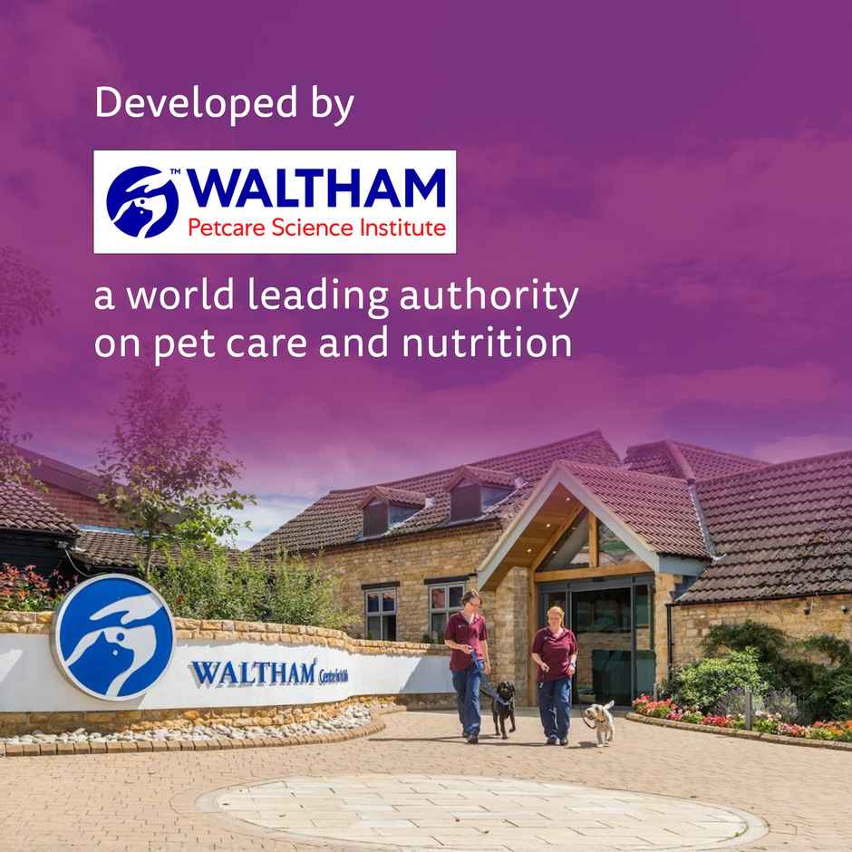 Whiskas Kitten Ocean Fish Flavour Dry Cat Food