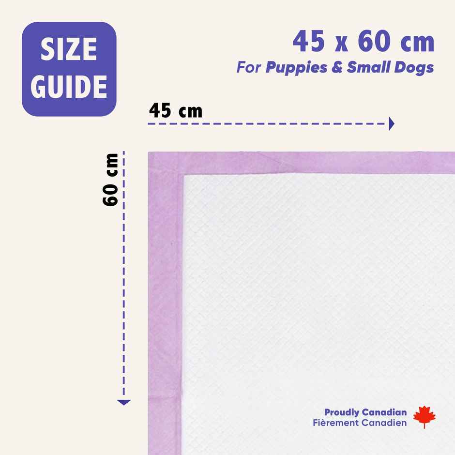 Purple Tails Medium Pet Training Pads