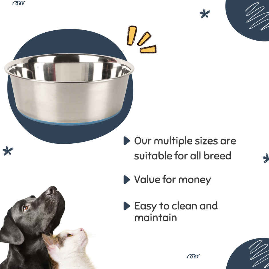 Bearhugs Anti Skid Pet Feeding Bowl - 180 Ml (Small)