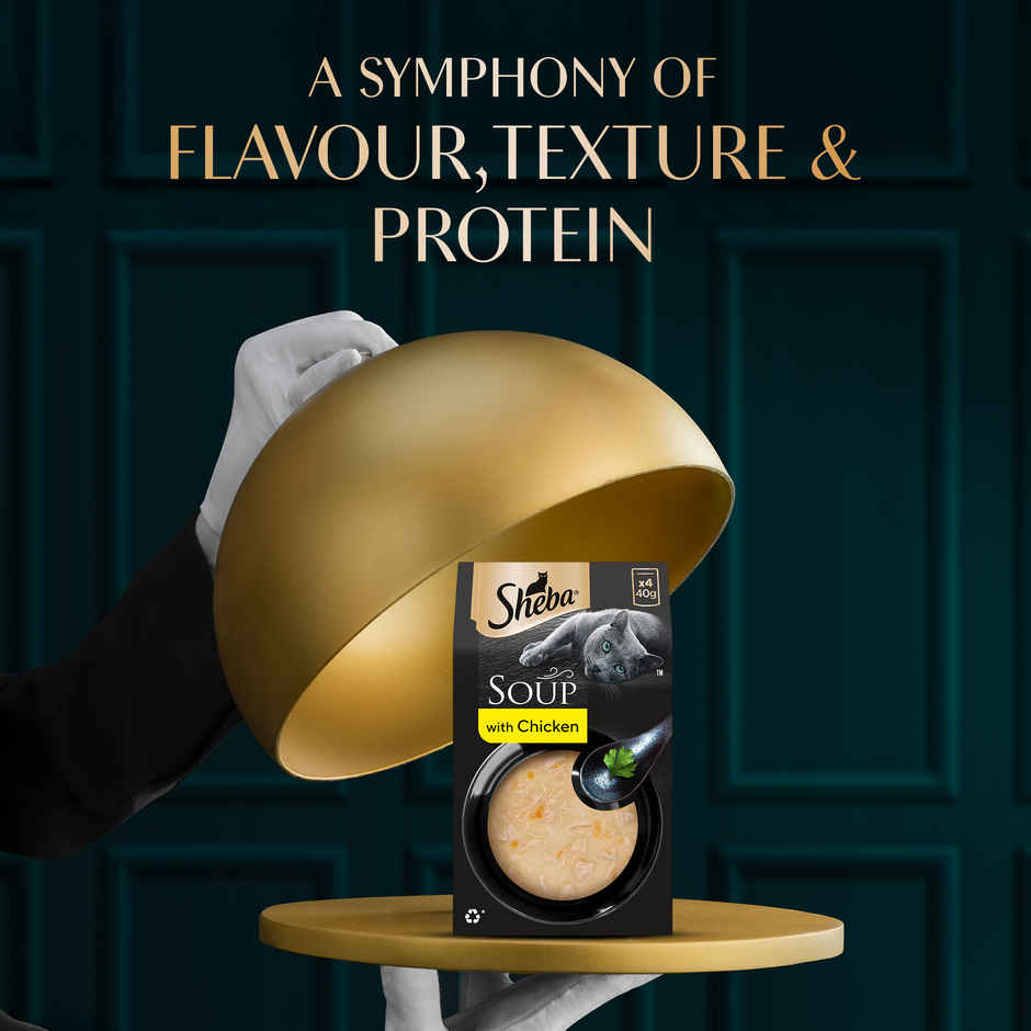 Sheba Soup With Chicken Premium Adult Wet Cat Food Pouches | Tender & Tasty Delight