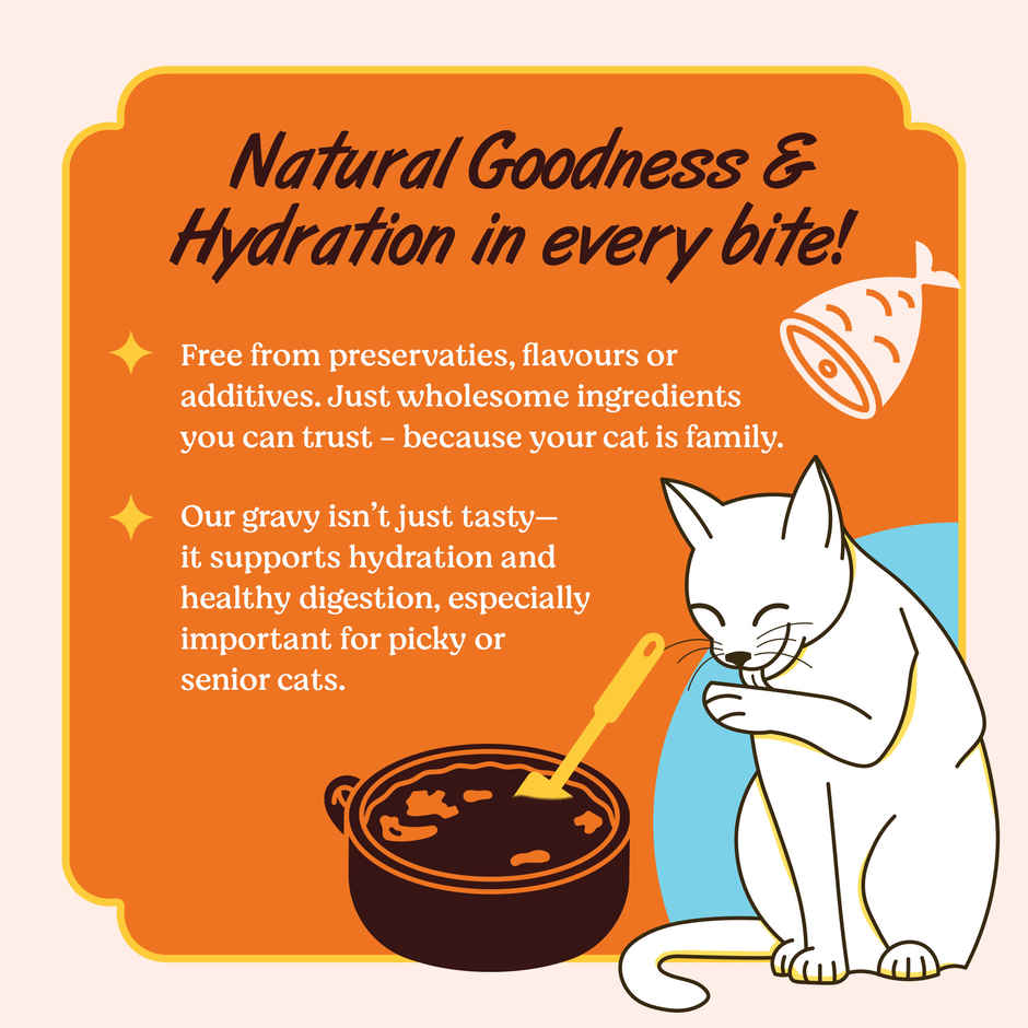 Kennel Kitchen Fish Chunks in Gravy | Wet Cat Food