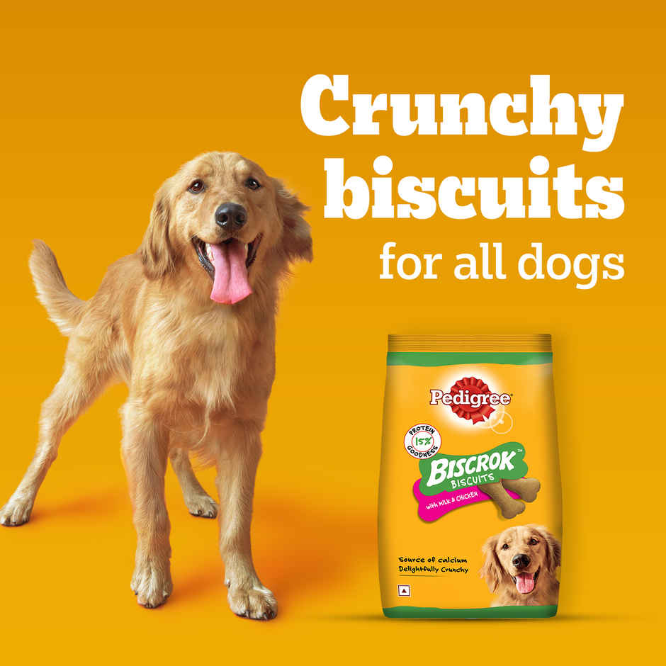 Pedigree Biscrok Milk & Chicken Flavour Dog Biscuits