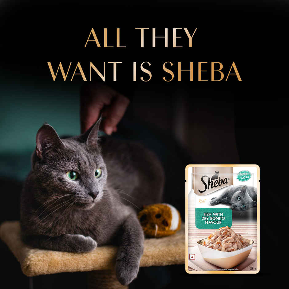 Sheba Rich Adult Fish with Dry Bonito Flavour Wet Cat Food