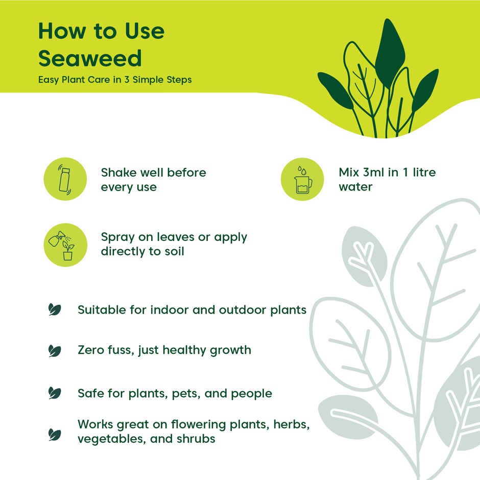 Kyari Seaweed Oil for Plants | 250 ml