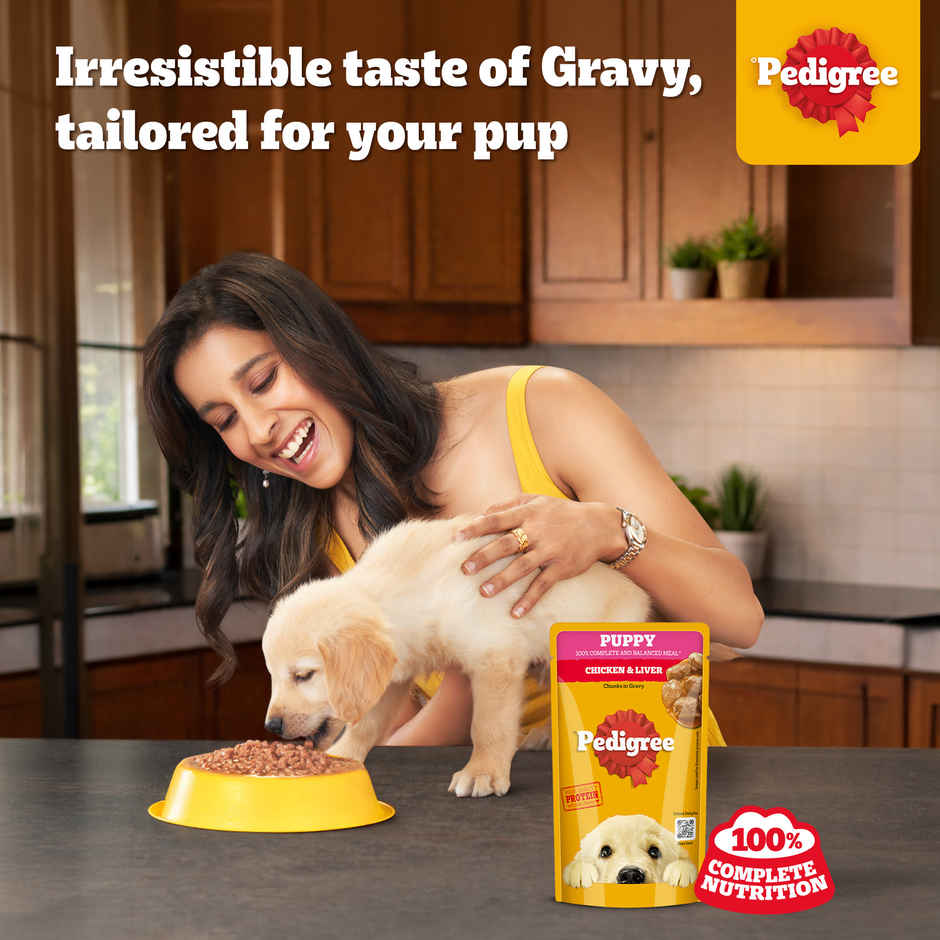 Pedigree Puppy Chicken & Liver Chunks In Gravy Wet Dog Food