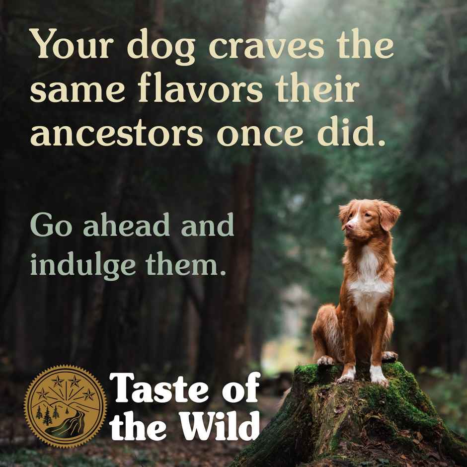 Taste Of The Wild Dry Dog Food Wetlands Canine (Wild Fowl)