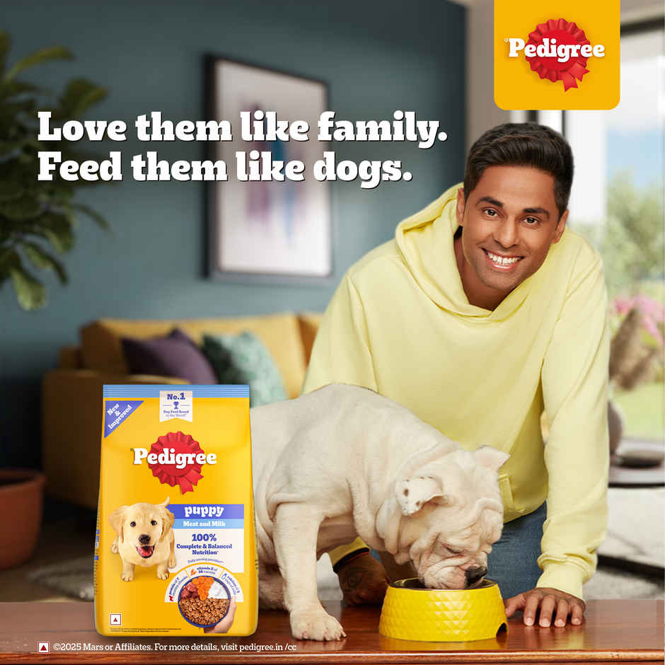 Pedigree Puppy Meat & Milk Dry Dog Food