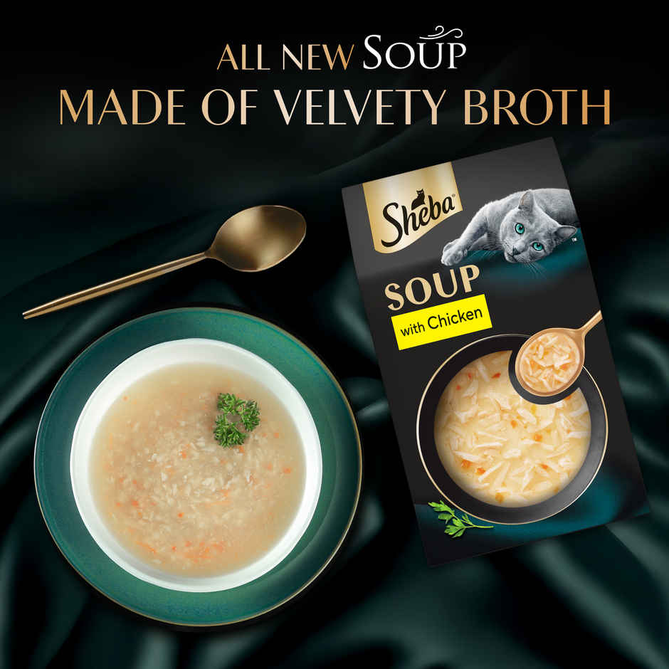 Sheba Soup With Chicken Premium Adult Wet Cat Food Pouches | Tender & Tasty Delight