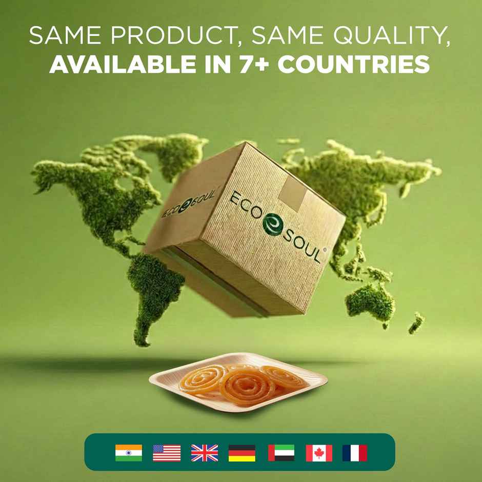 ECO SOUL | Palm Leaf Disposable Plates | 6 Inch | Square | 10 Count