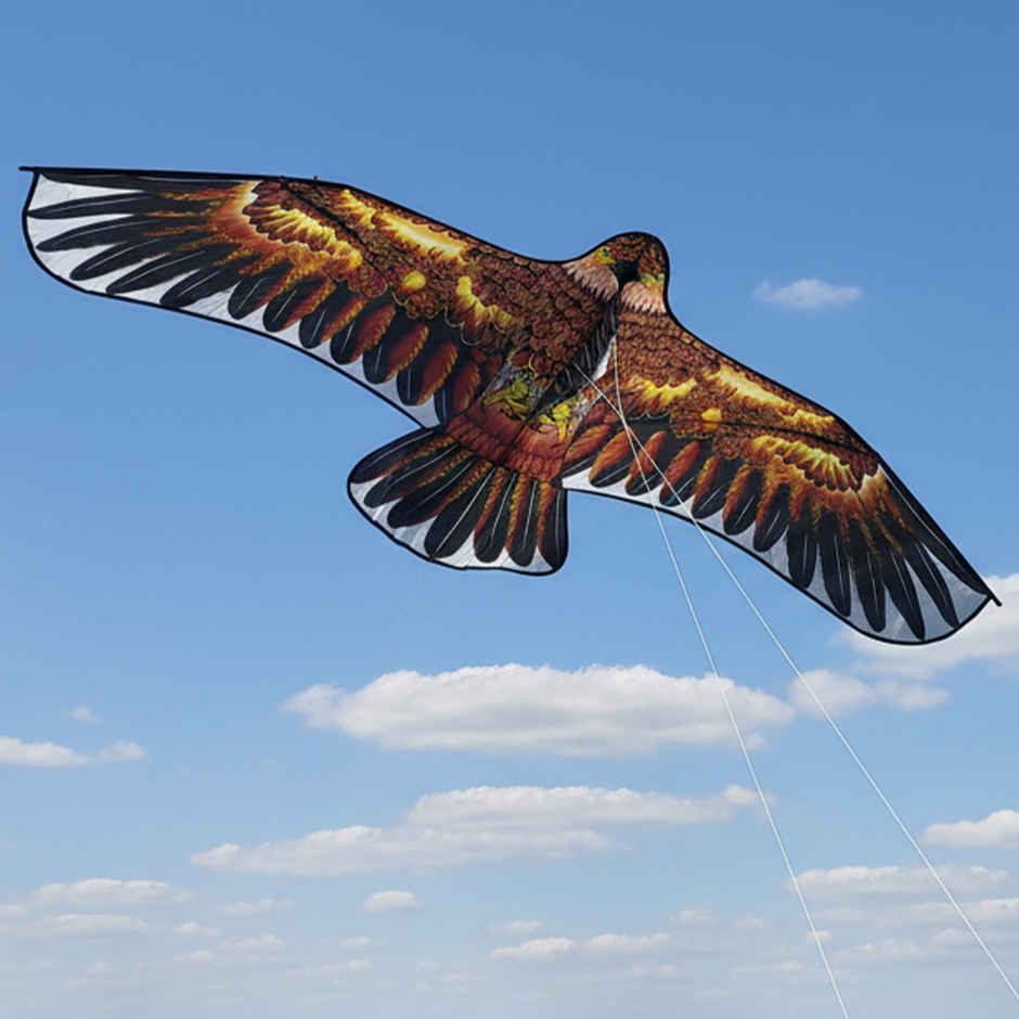 Premium Eagle Plastic Kite | Multicolour | Patang | Special You