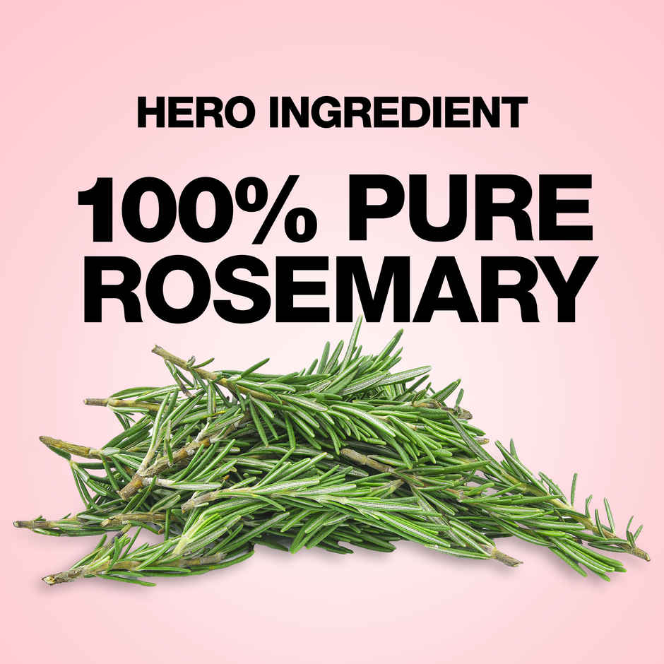 Soulflower Rosemary Coconut Hair Oil with Lavender & Amla Oil for Hair Growth - 225 ml