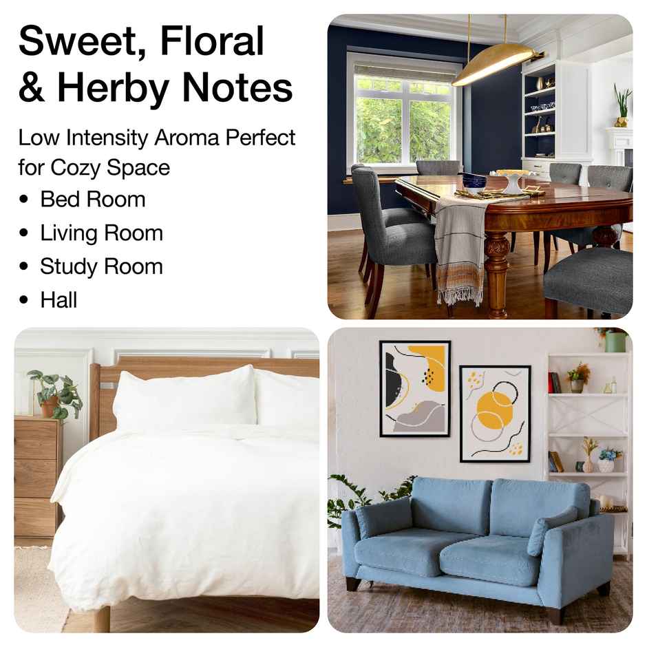 Soulflower Premium Reed Diffuser Lavender - Calming & Relaxing