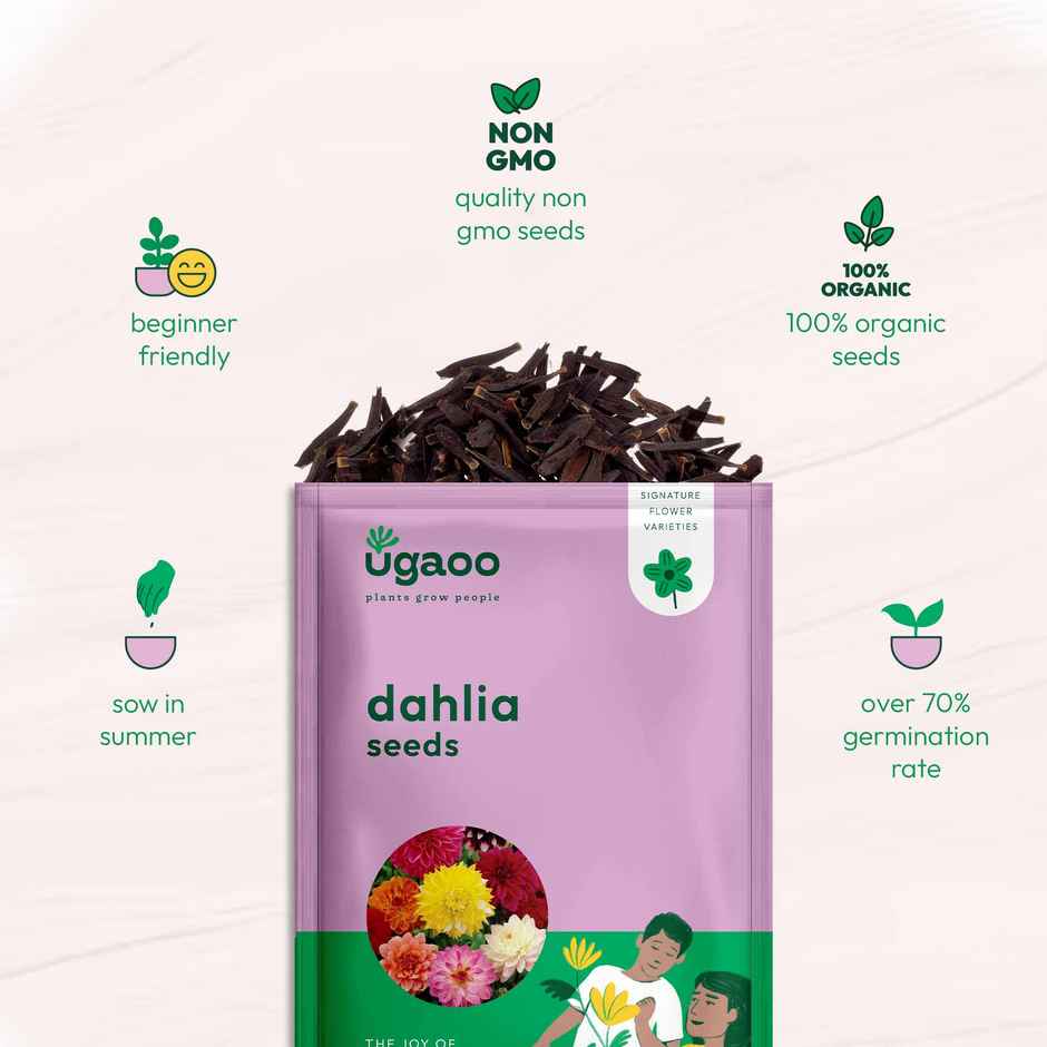 Ugaoo Dahlia