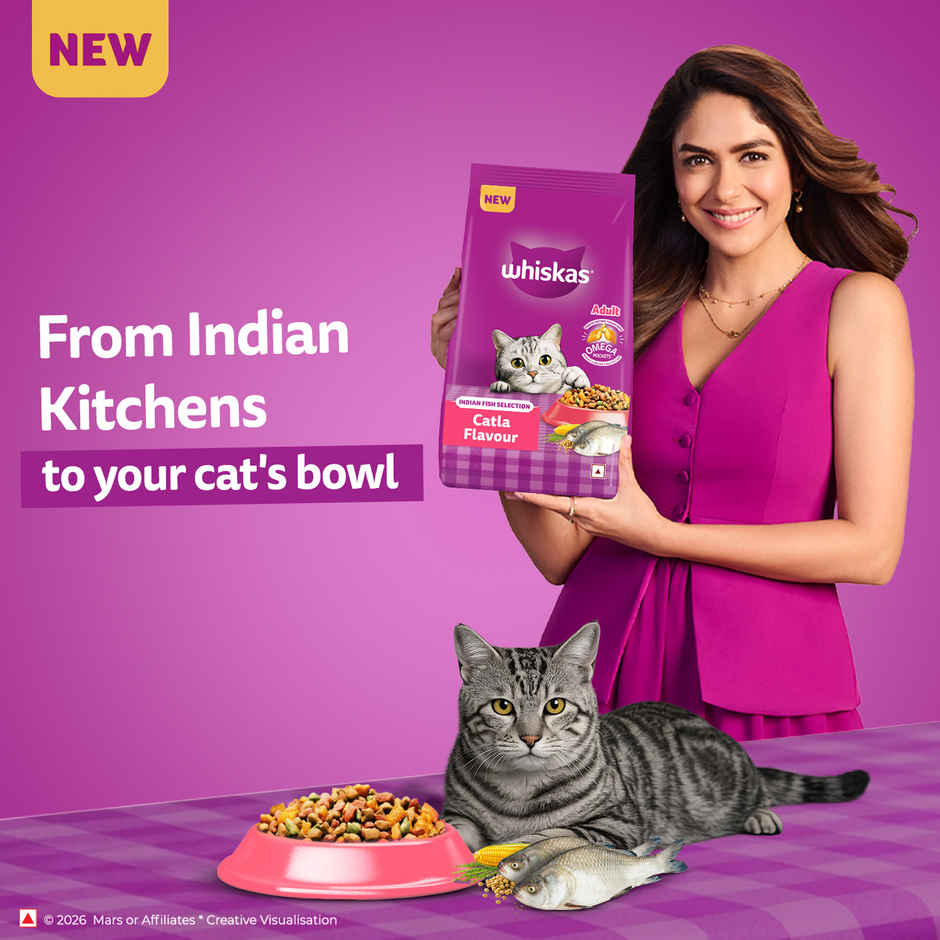 Whiskas Adult Dry Cat Food 1 Plus Years Catla Fish Flavour