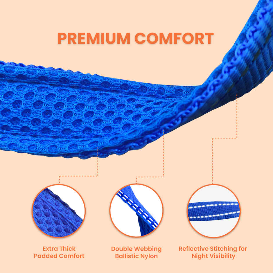 KIBBO Padded Reflective & Adjustable Dog Collar | Blue - Large