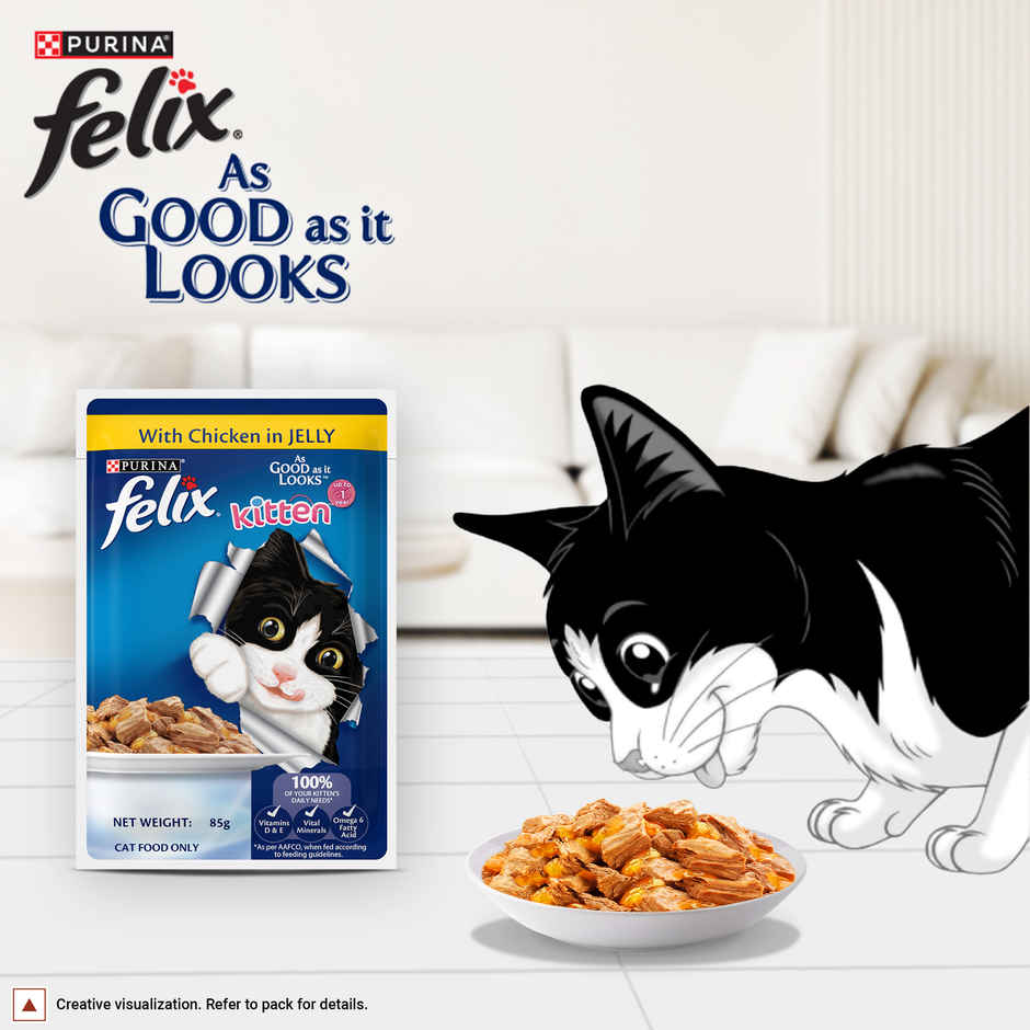 Felix Chicken Jelly Wet Cat Food Kitten | Complete & Balanced