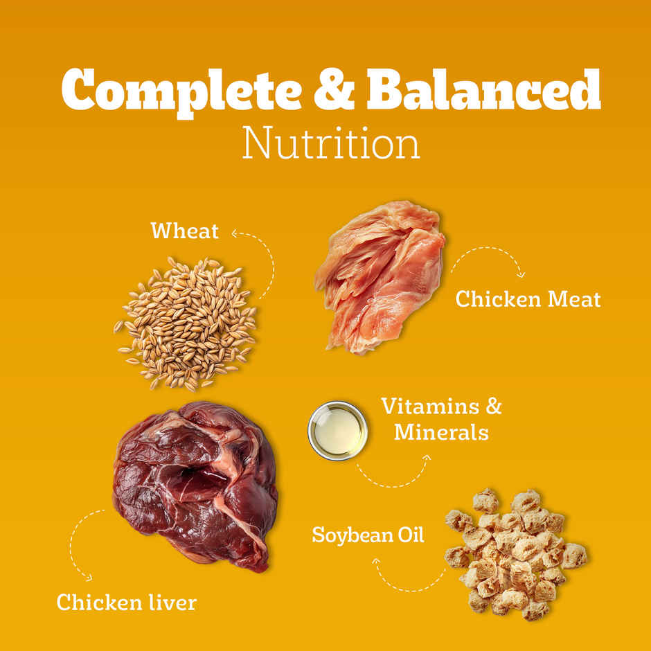 Pedigree Adult Chicken & Liver Chunks In Gravy Wet Dog Food Combo