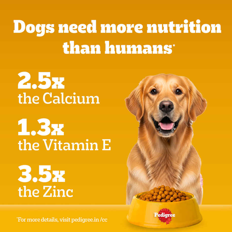 Pedigree Adult Chicken, Egg & Rice Dry Dog Food