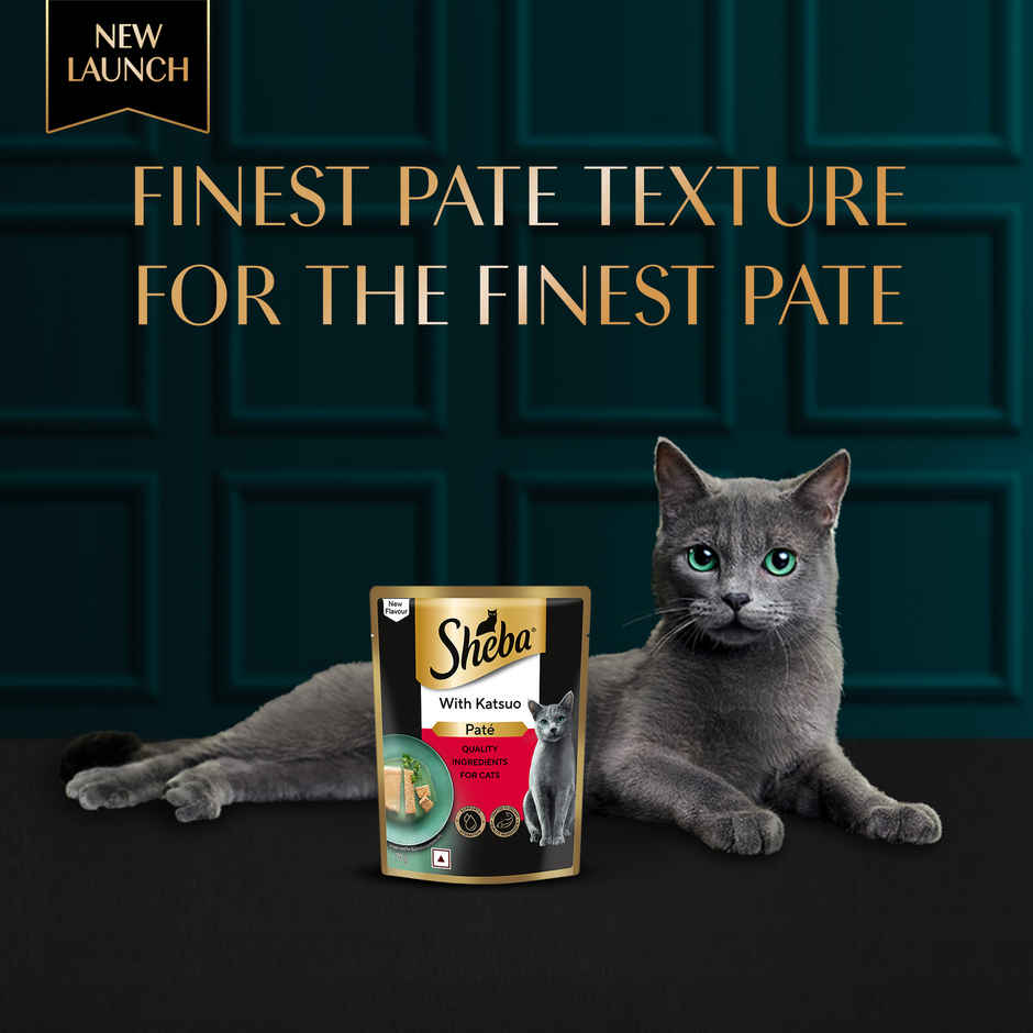 Sheba Pate Adult Wet Cat Food | Katsuo