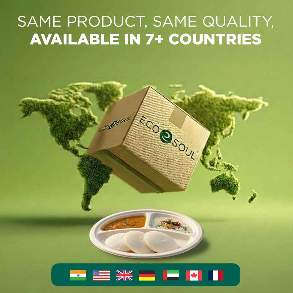 Disposable Plate | Round | 3 Compartment | 10 inch | 10 Count | Eco Soul