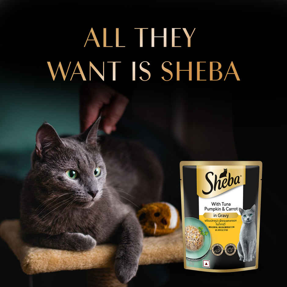 Sheba Fine Adult Tuna Pumpkin & Carrot in Gravy Wet Cat Food