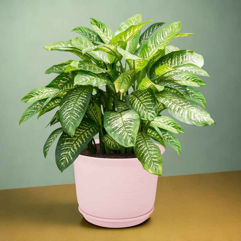 Kuber Industries 10 Inch Marble Sawera Design Flower Plant Pot | Pots for Garden Decor | Pink