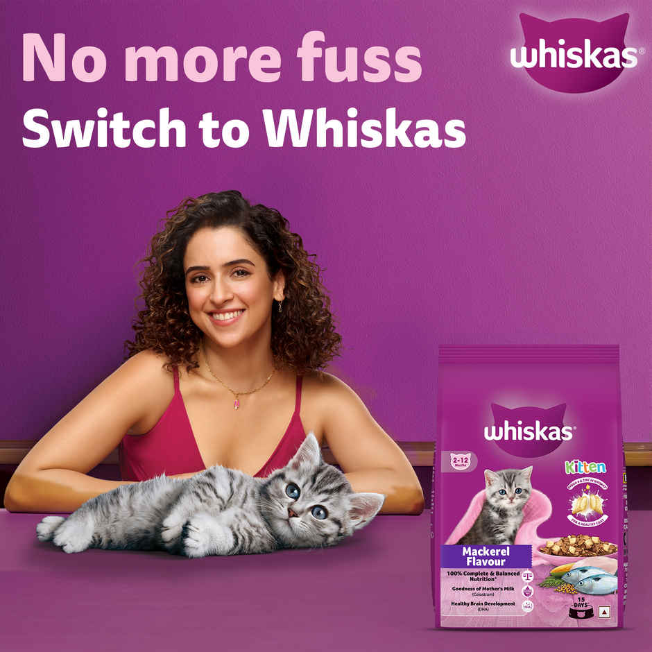 Whiskas Kitten Dry Cat Food, Mackerel Flavour | 2-12 months