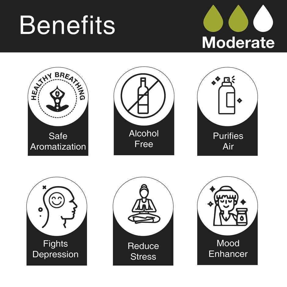 Soulflower Premium Reed Diffuser Soulgreen - Refreshing