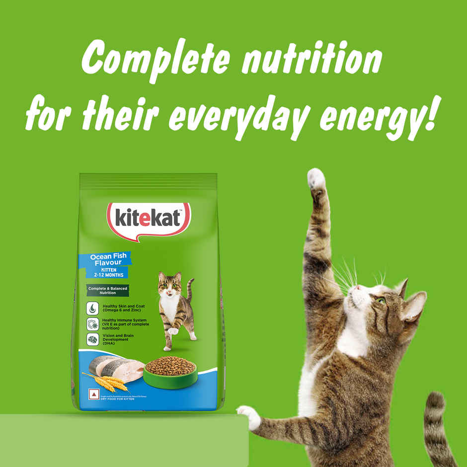 Kitekat Kitten Dry Cat Food | Ocean Fish Flavour | 2-12 Months
