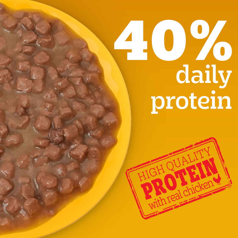 Pedigree Puppy Chicken & Liver Chunks In Gravy Wet Dog Food Combo