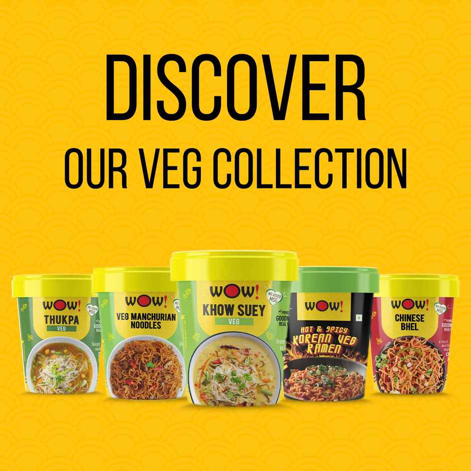 WOW! VEG Manchurian Noodles Combo 