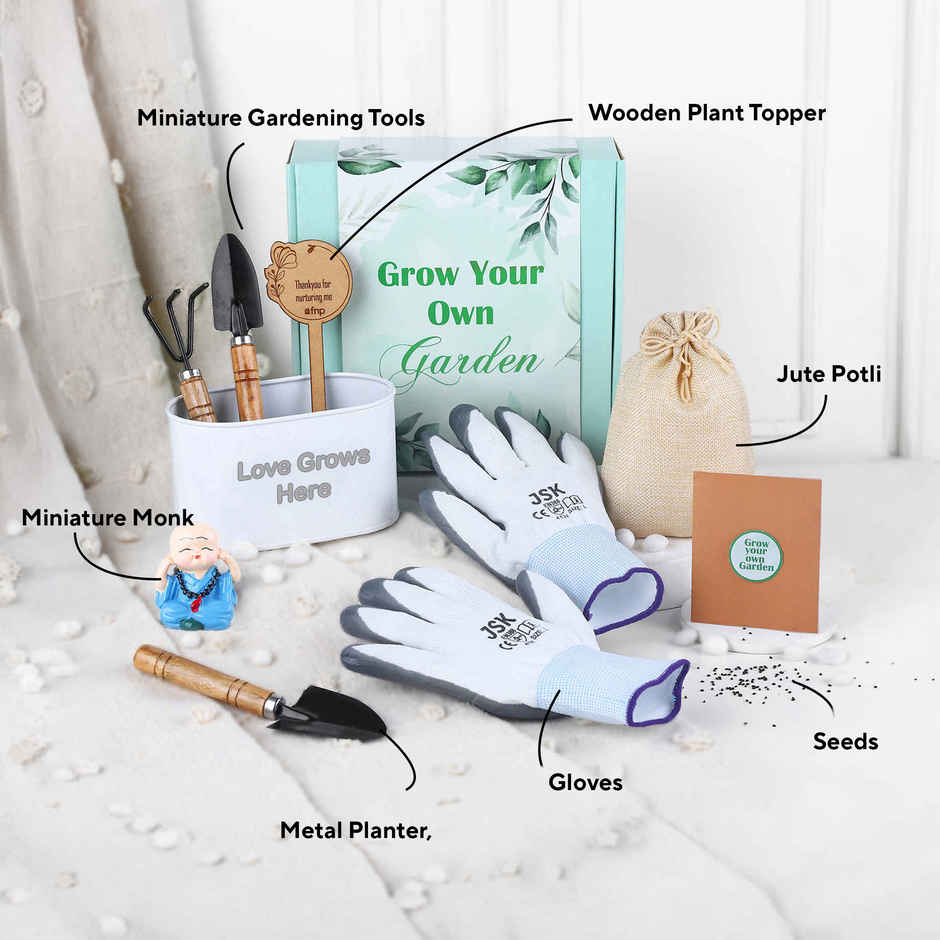 Zen Mini Garden Gift Box | FNP