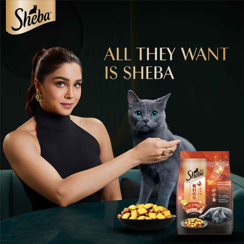 Sheba Kitten and Adult Chicken Flavour Dry Cat Food