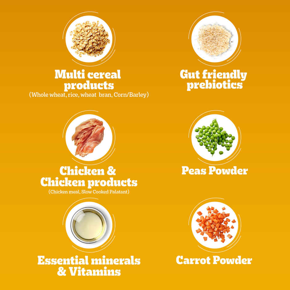 Pedigree Adult Dry Dog Food Chicken and Vegetables