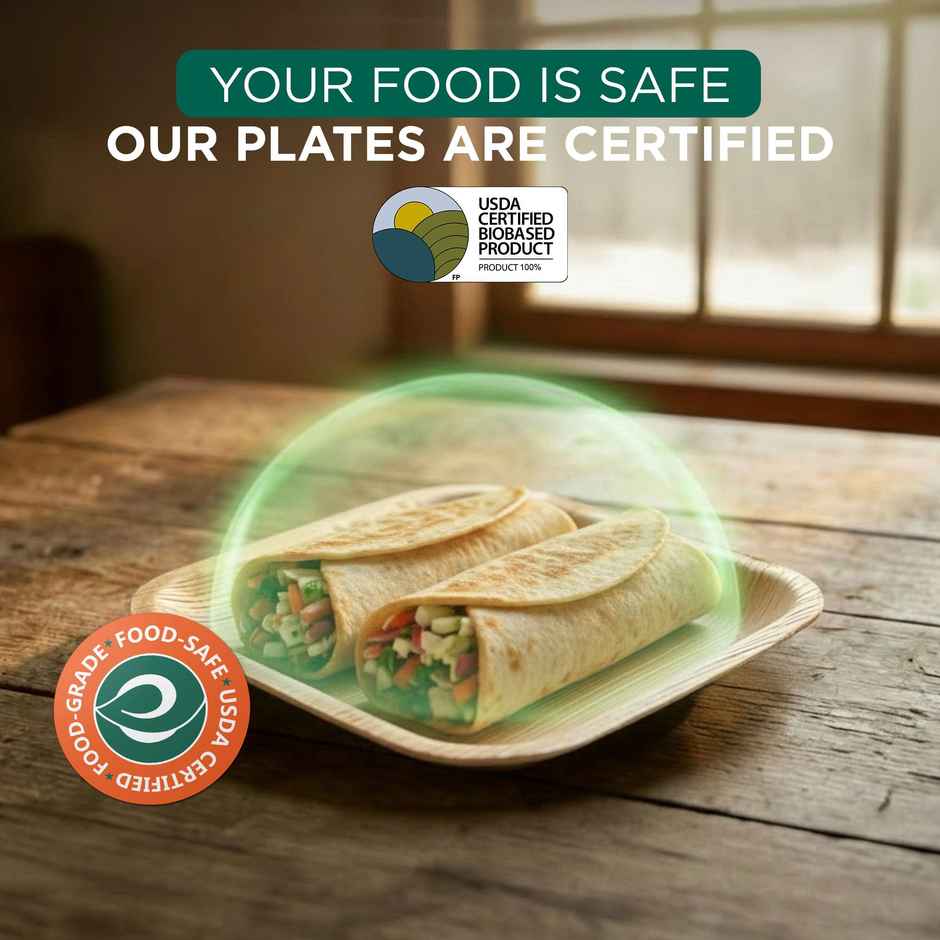 ECO SOUL | Palm Leaf Disposable Plates | 8 Inch | Square | 10 Count