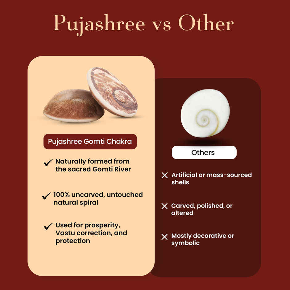 Gomti Chakra | Symbol of Maa Laxmi | Procured from Sacred Gomti River | Pujashree