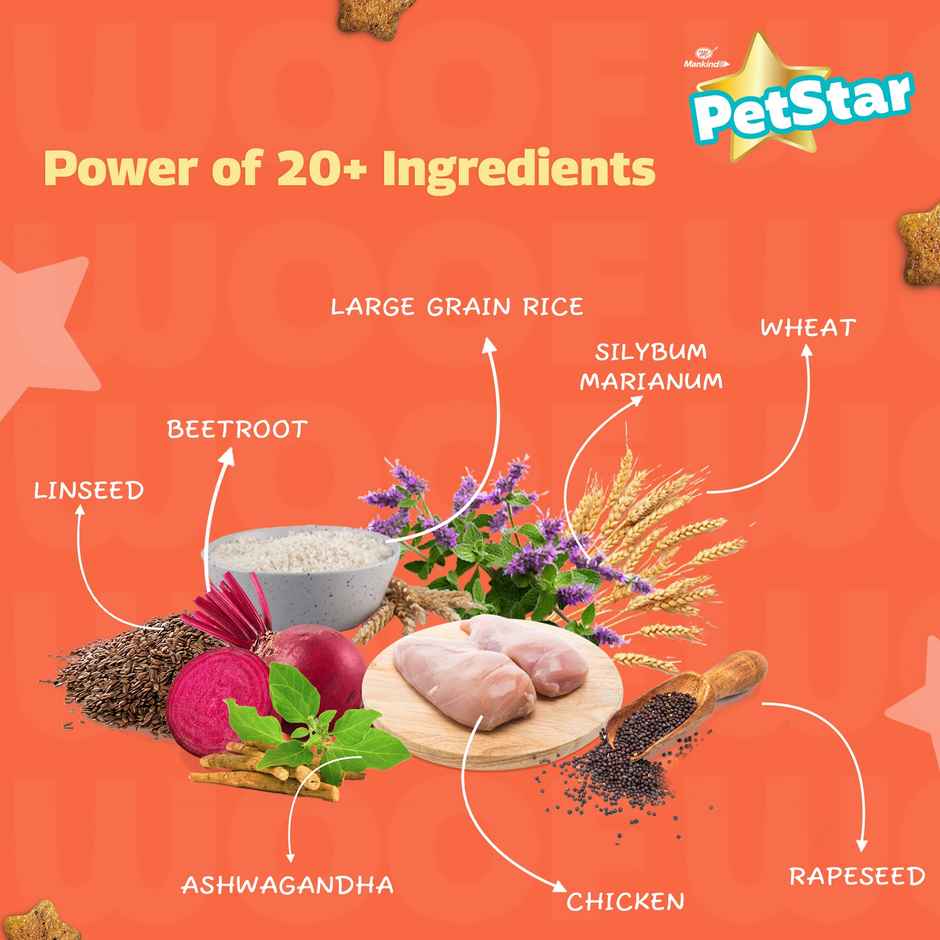 Petstar Puppy Dry Dog FOOD | Chicken Flavour - Power Of 20+ Ingredients
