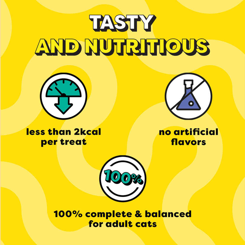 Temptations Adult Seafood Medley Flavour Cat Treats