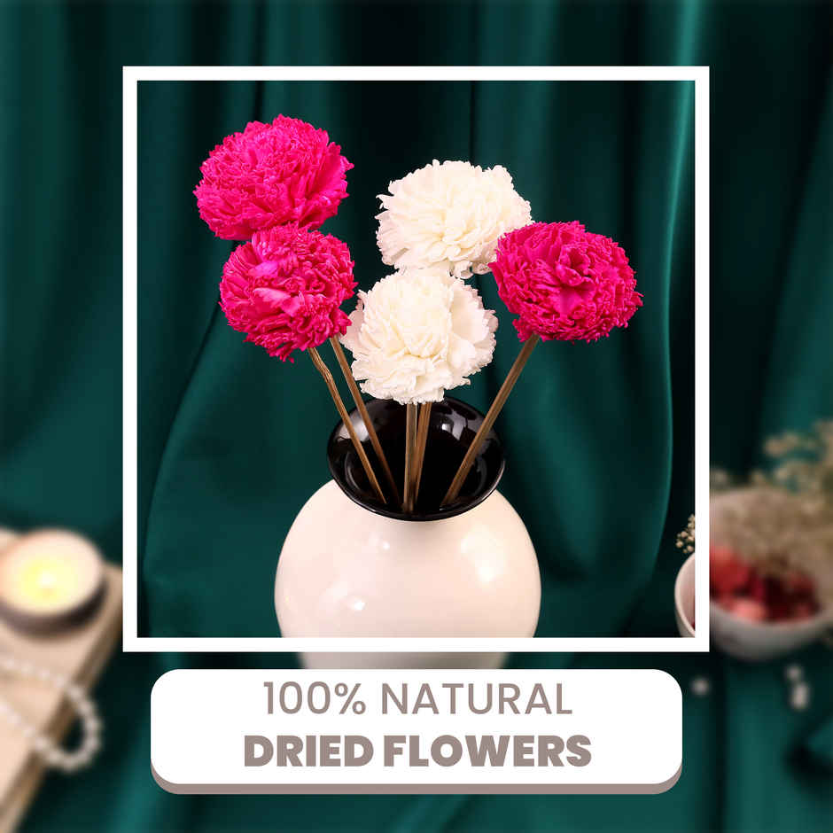 Chic Carnations Natural Dried Flowers | Eternal Blooms