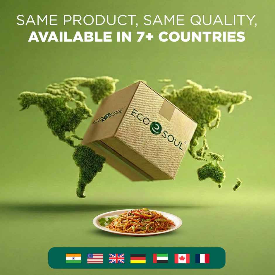 ECO SOUL | Palm Leaf Disposable Plates | 6 Inch | Round | 10 Count