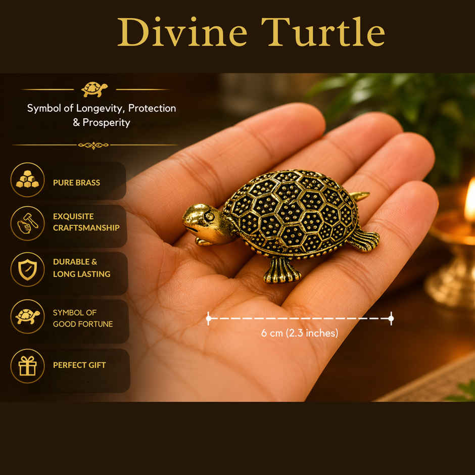 Pure Brass Tortoise | Estoria Collective