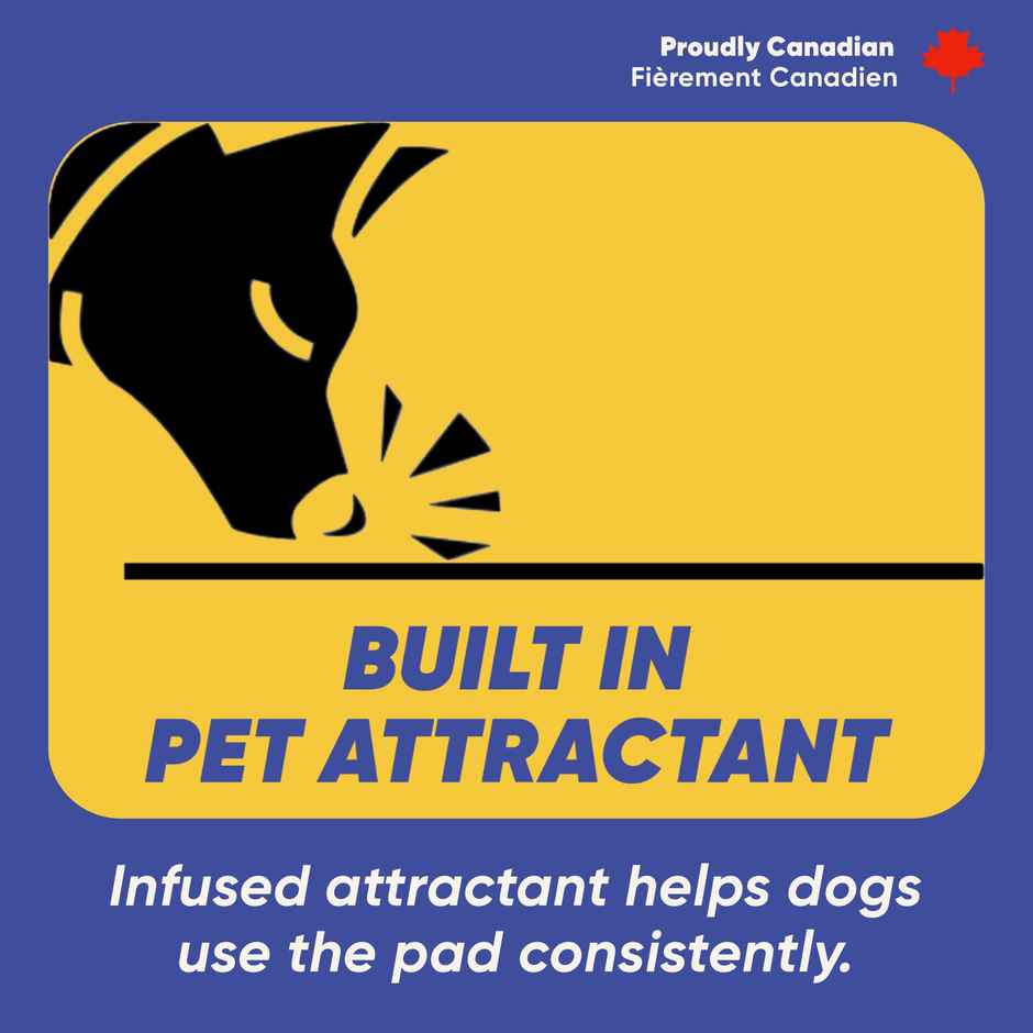 Purple Tails XL Pet Training Pads