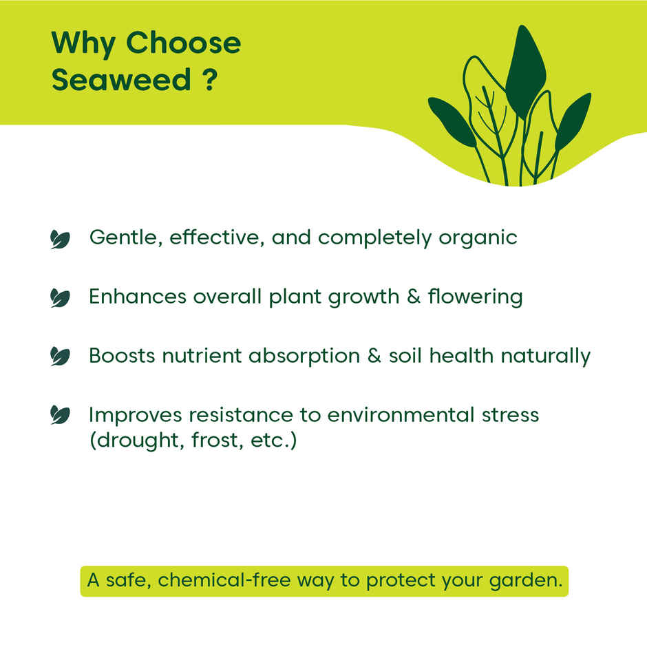 Kyari Seaweed Oil for Plants | 250 ml