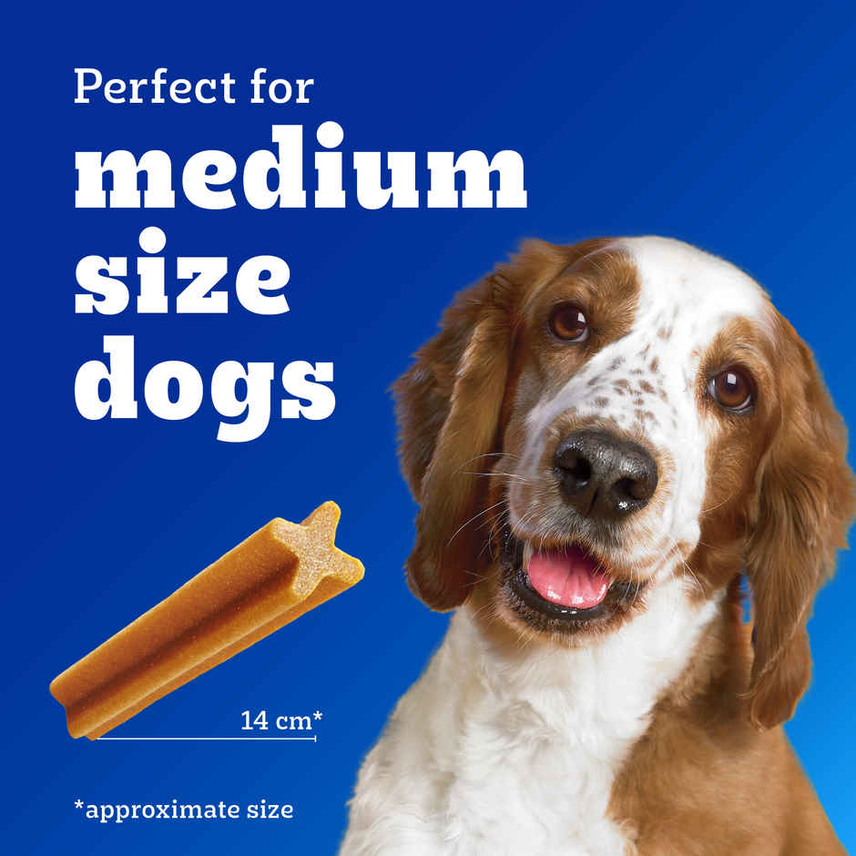 Pedigree Dentastix Adult Medium Breed 10-25 kg | Oral Care Dog Treat