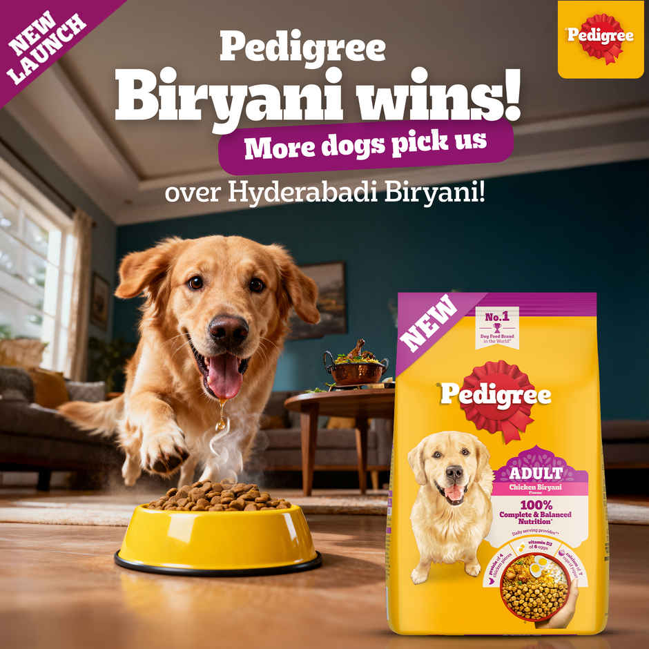 Pedigree Adult Dry Dog Food, New Chicken Biryani Flavour