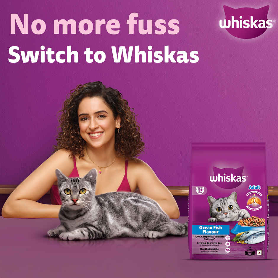 Whiskas Adult Ocean Fish Flavour Dry Cat Food Combo 