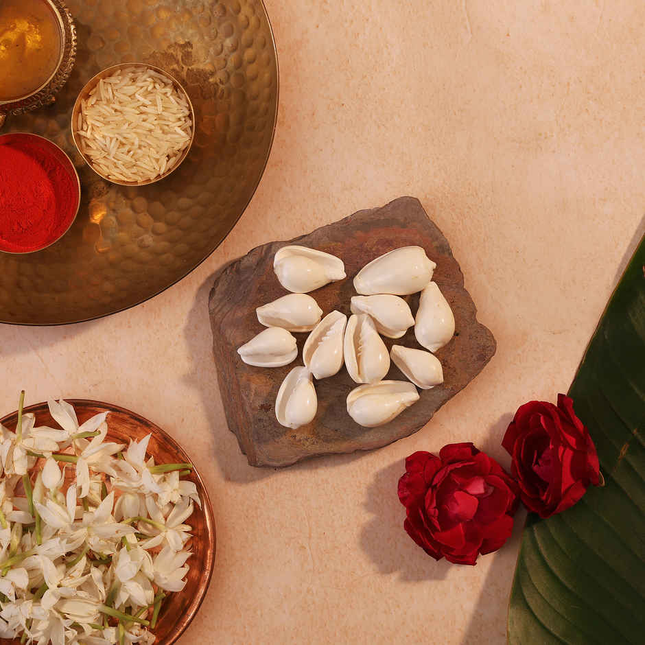 Vishnu Kauri | Symbol of Bhagwan Vishnu | Brings Spiritual Growth and Peace | Pujashree